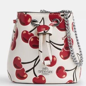 Coach Mini Drawstring Bucket Bag With Cherry Print and Chain